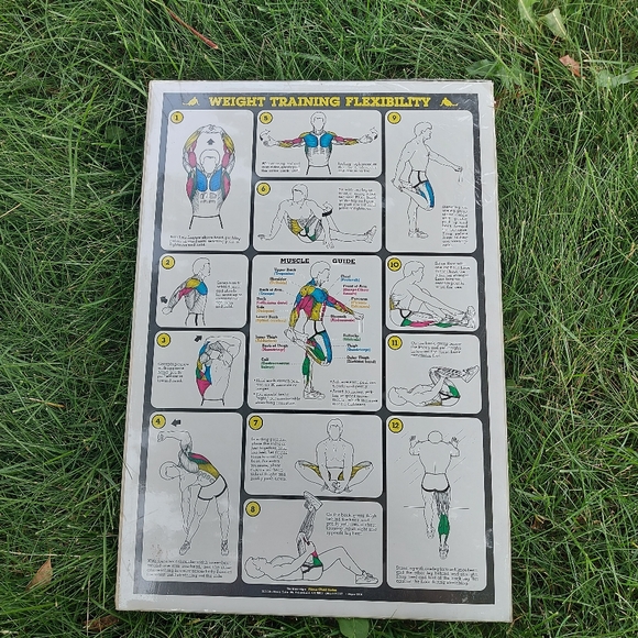 1984 Vintage Bruce Algra Weigh Training Flexibility Fitness Chart Series - Picture 1 of 4